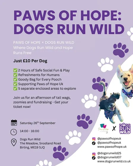 PAWS OF HOPE: DOGS RUN WILD