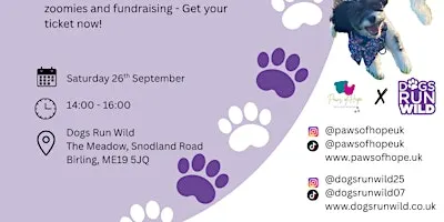 PAWS OF HOPE: DOGS RUN WILD