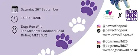 PAWS OF HOPE: DOGS RUN WILD