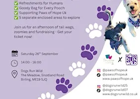 PAWS OF HOPE: DOGS RUN WILD