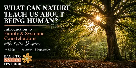 Intro to Family Constellations @ Back to Nature Fest