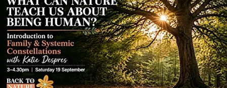 Intro to Family Constellations @ Back to Nature Fest
