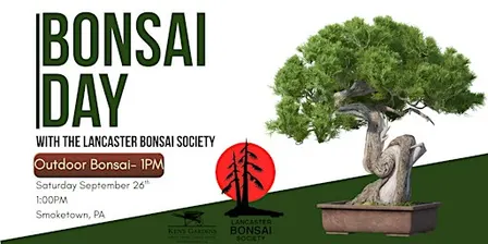 Bonsai Day - Outdoor Bonsai (Smoketown Location)