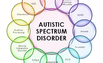 Autism Affirming Therapy (12-16-26) IN PERSON