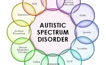 Autism Affirming Therapy (12-16-26) IN PERSON
