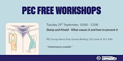 Damp and Mould - What causes it and how to prevent it