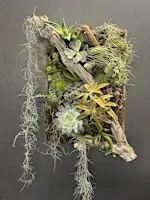 Botanical Picture Frame Workshop