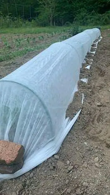 Season Extension for the Home Gardener - Advance