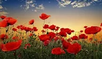 Poppy Dance 2026