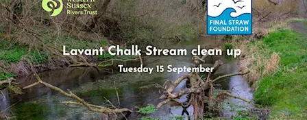 Lavant Chalk Stream Clean Up Tuesday 15 September