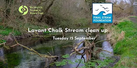 Lavant Chalk Stream Clean Up Tuesday 15 September