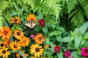 Introduction to Permaculture Design