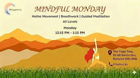 Holistic Hatha Yoga @ The Yoga Tree