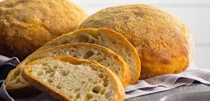 Spanish Fork Adult spooky creature sourdough class