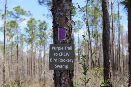 Hike the Purple Loop!