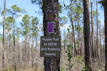 Hike the Purple Loop!