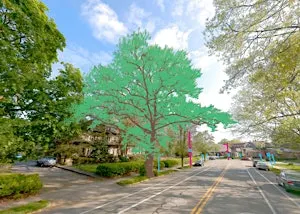 Advancing Urban Forest Management Through Technology