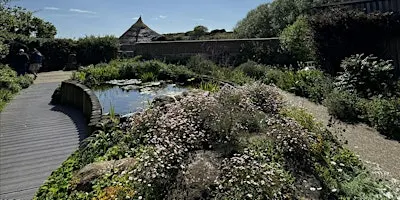 Mindful Mandalas in the Wildlife Garden | Hengistbury Head