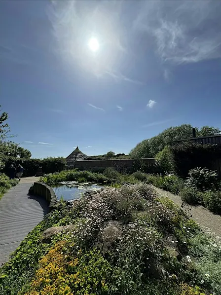Mindful Mandalas in the Wildlife Garden | Hengistbury Head