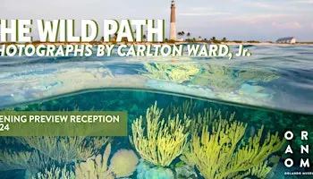 The Wild Path  Exhibition Opening Preview Reception