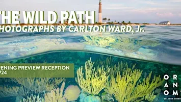 The Wild Path  Exhibition Opening Preview Reception