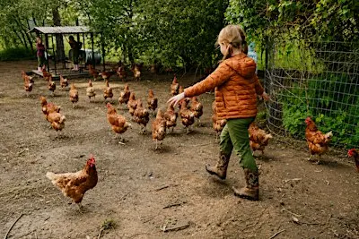 Agritourism Days at Blackwood