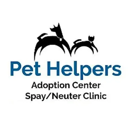 Volunteer Service Project - Pet Helpers