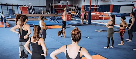 Beginner-Friendly Train Like A Gymnast Workshop