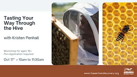 Tasting Your Way Through the Hive