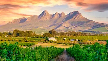 Wines of the Southern Hemisphere