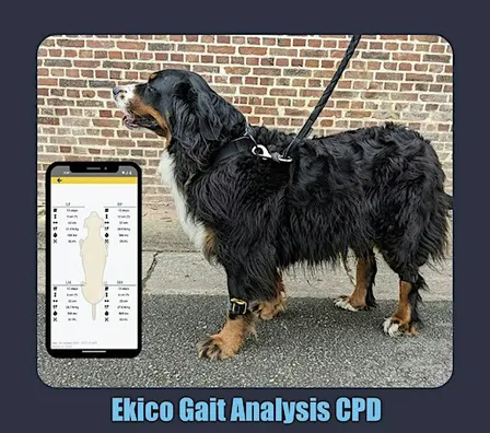 Ekico gait analysis boots demo morning