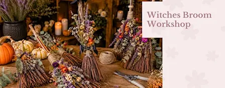 Witches Broom Workshop