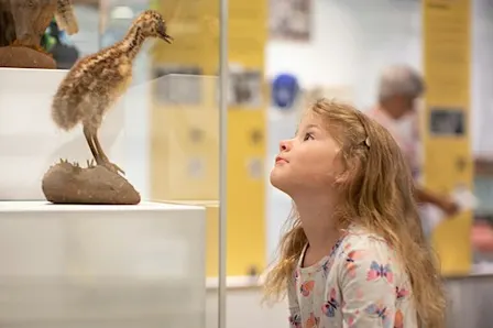 Museum Kids Tour - History Illuminated