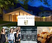 Alto Adige Wine Class by Heddy Salerno