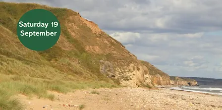 Geology of Crimdon Beach (Joint trip with NOUGS)