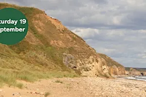 Geology of Crimdon Beach (Joint trip with NOUGS)