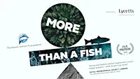 More Than A Fish