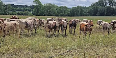 Regenerate Outcomes, Anglian Water & AHDB - Building Resilient Farms