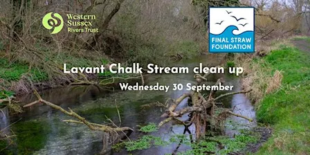 Lavant Chalk Stream Clean Up Wednesday 30 September
