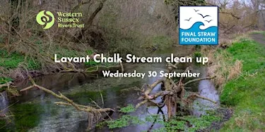 Lavant Chalk Stream Clean Up Wednesday 30 September