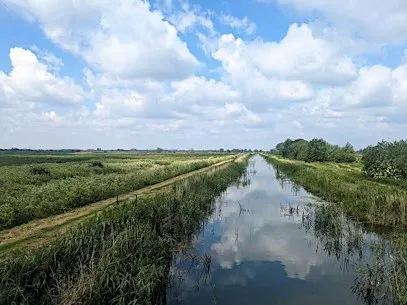 An archaeological journey through the Fens