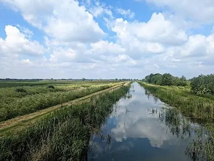 An archaeological journey through the Fens