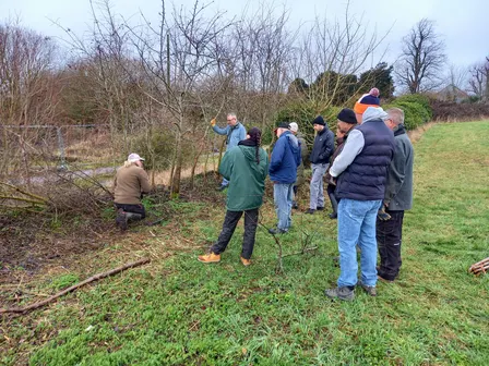 Traditional Woodland Skills: Hedge laying