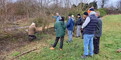 Traditional Woodland Skills: Hedge laying