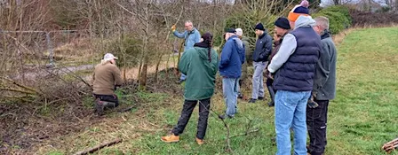 Traditional Woodland Skills: Hedge laying
