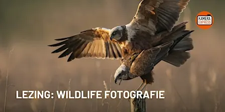 Lezing: Wildlife fotografie door Ludo Goossens