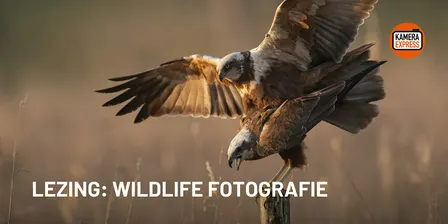 Lezing: Wildlife fotografie door Ludo Goossens