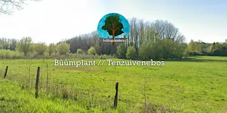 Bûûmplant // Tenzuivenebos (wo - nm)