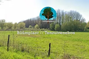 Bûûmplant // Tenzuivenebos (do - vm)