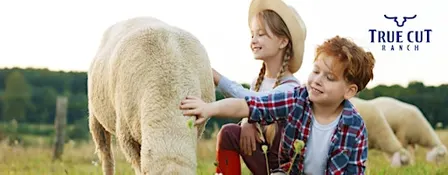 Farm tour with animal interaction: pigs, cows, sheep, poultry,  and more!